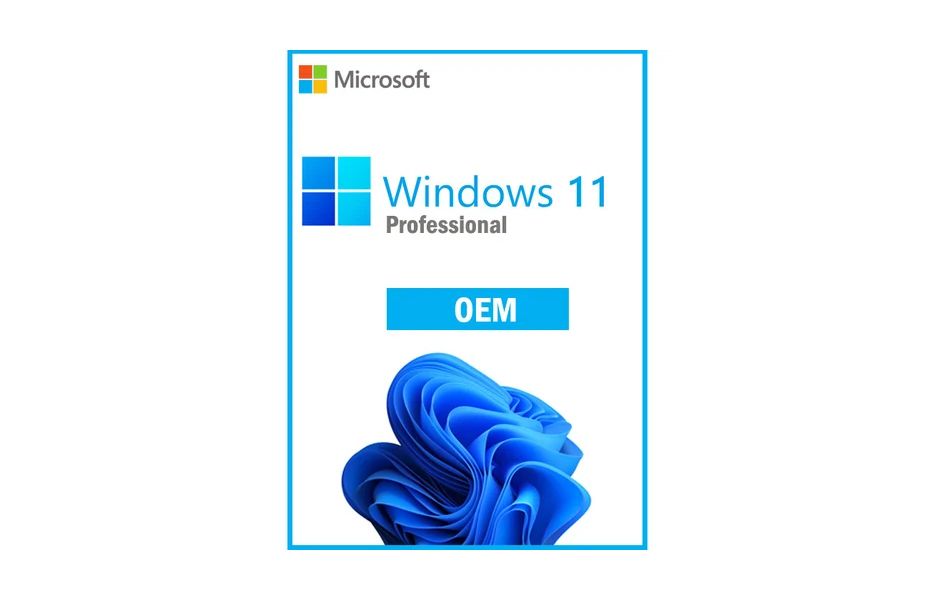Windows 11 Professional OEM Key